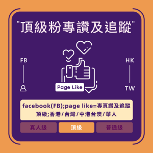 FB買讚